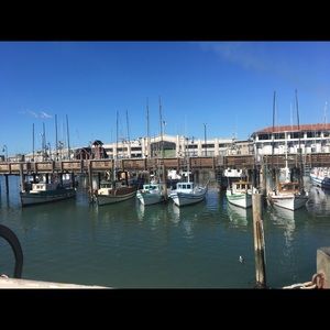 Meet your Posher, Sydney